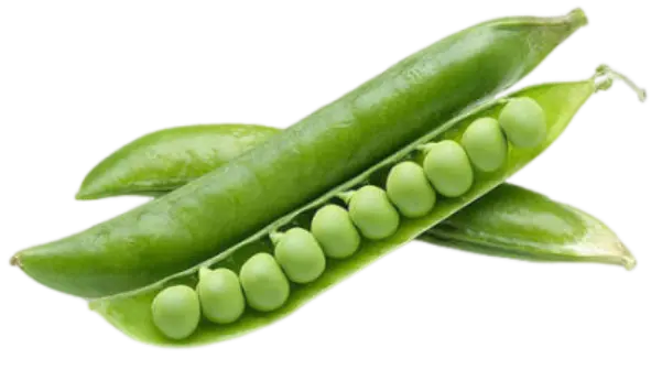 GREEN PEAS हरे मटर (1KG)