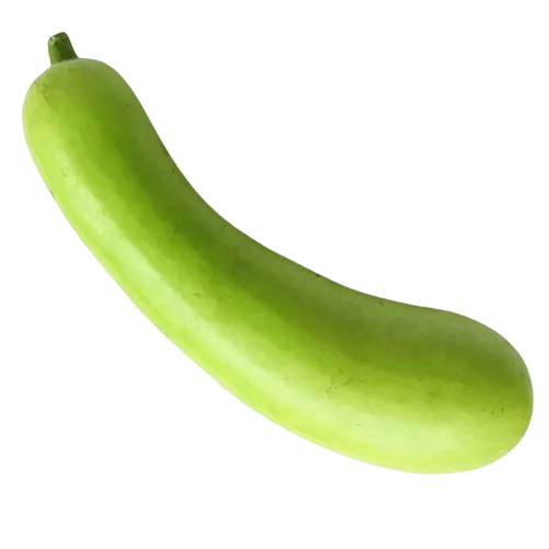 BOTTALE GOURD  "लौकी"  (1KG)