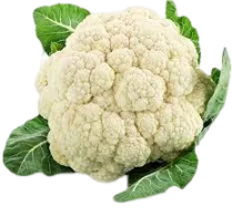 CAULIFLOWER फूलगोभी  (1KG)
