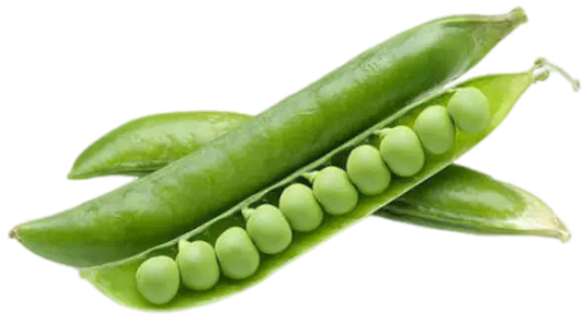 GREEN PEAS हरे मटर  (1KG)