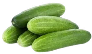 HYBRID KHEERA  हाइब्रिड खीरा (500GM)