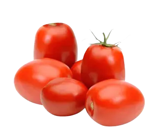 HYBRID TOMATO  संकर टमाटर  (1KG)