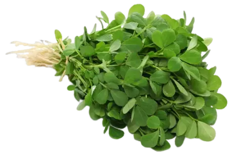 METHI मेथी  (1 गुच्छी)