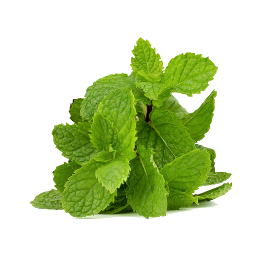 MINT पुदीना (1 गुच्छी)