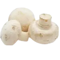 MUSHROOM BUTTON मशरूम बटन (500GM)
