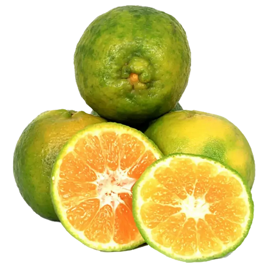 ORANGE NAGPUR ऑरेंज नागपुर  (1KG)