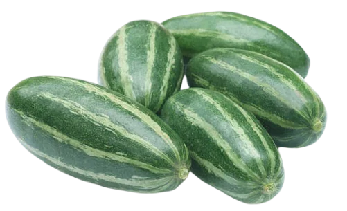 PARWAL  "परवल"  (500GM)