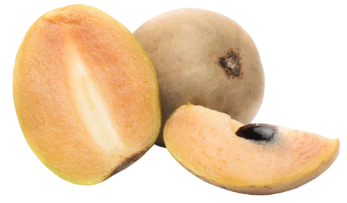 PREMIUM CHIKU "उच्च गुणवत्ता वाला चीकू" (500GM)