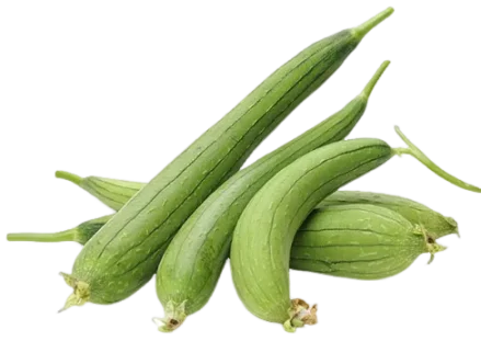 SPONGE GOURD  तोरई या नेनुआ  (500GM)