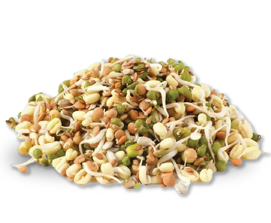SPROUTS MIXED GRAM  "अंकुरित दालें और अनाज का मिश्रण"   (1 पैकिट्‌)
