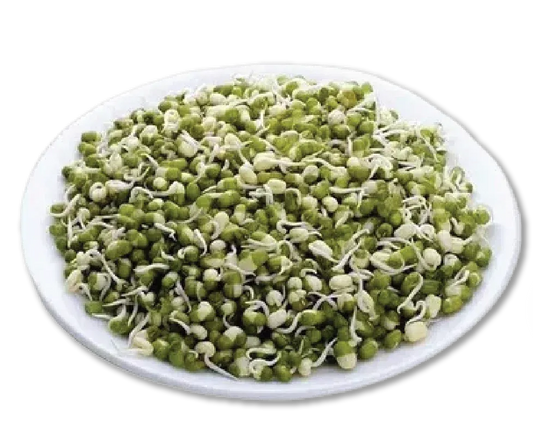 SPROUTS MOONG "मूंग अंकुरित" (1 पैकिट्‌)