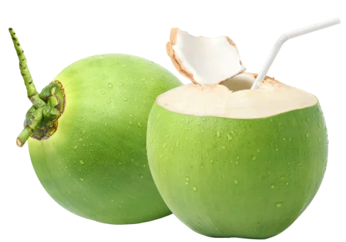 TENDER COCONUT कच्चा नारियल ( 1 पीस)